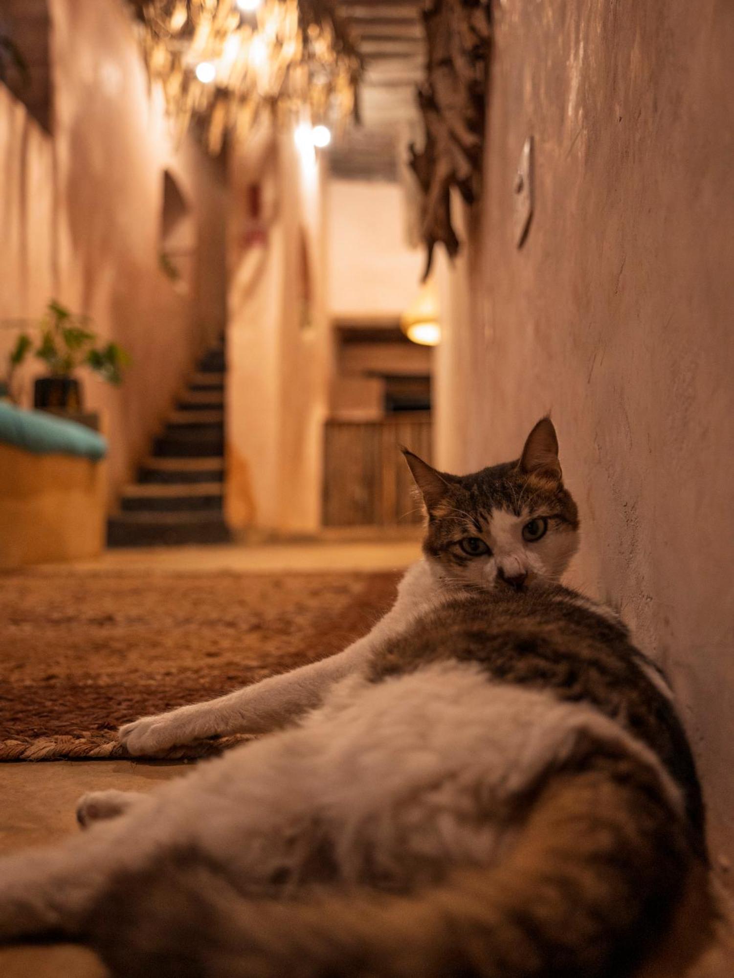 Firefly Boutique Hotel Zanzibar Luaran gambar